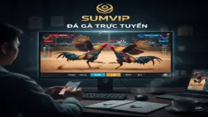 Bí Kíp Soi Kèo Đá Gà Mạng Sumvip Bất Bại Từ Chuyên Gia